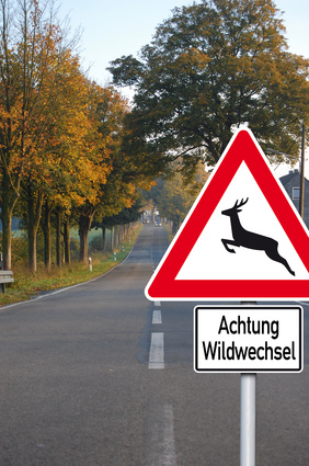 Das Verkehrsschild in Deutschland, das vor Wildwechseln warnt.
